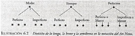 División de la longa, la breve y la semibreve en el Ars Nova