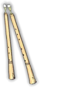 Instrumento aulos