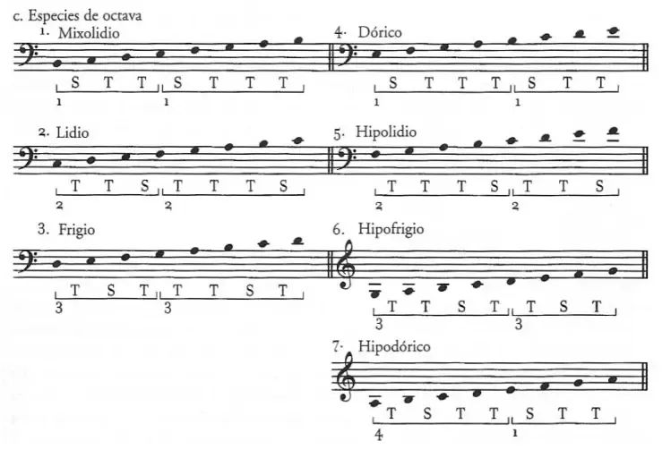 Especies de octava