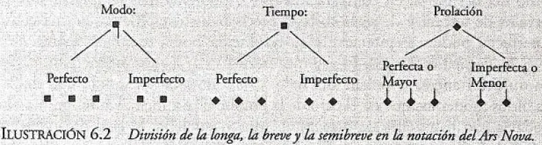 División de la longa, la breve y la semibreve en la notación del Ars Nova